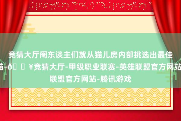 竞猜大厅阉东谈主们就从猫儿房内部挑选出最佳看的一批猫-🔥竞猜大厅-甲级职业联赛-英雄联盟官方网站-腾讯游戏