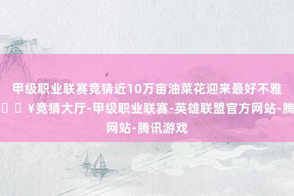 甲级职业联赛竞猜近10万亩油菜花迎来最好不雅赏季-🔥竞猜大厅-甲级职业联赛-英雄联盟官方网站-腾讯游戏